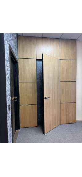 Двері прихованого монтажу Шпон натуральный